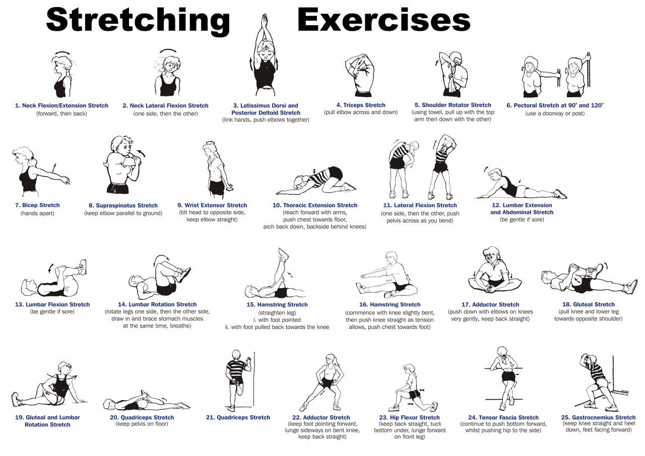 Flexibility stretching approaches routine